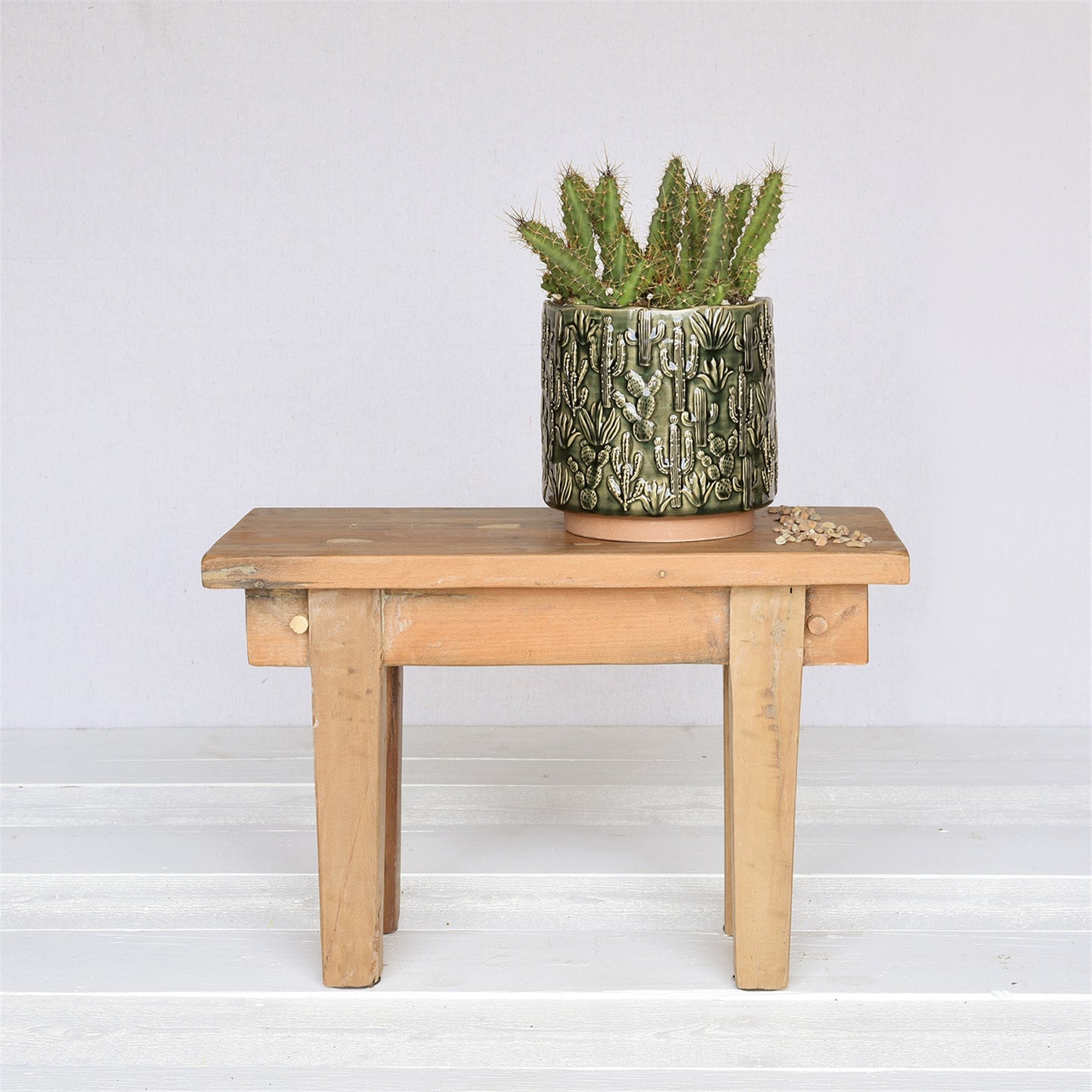 Cactus Motif Cachepot