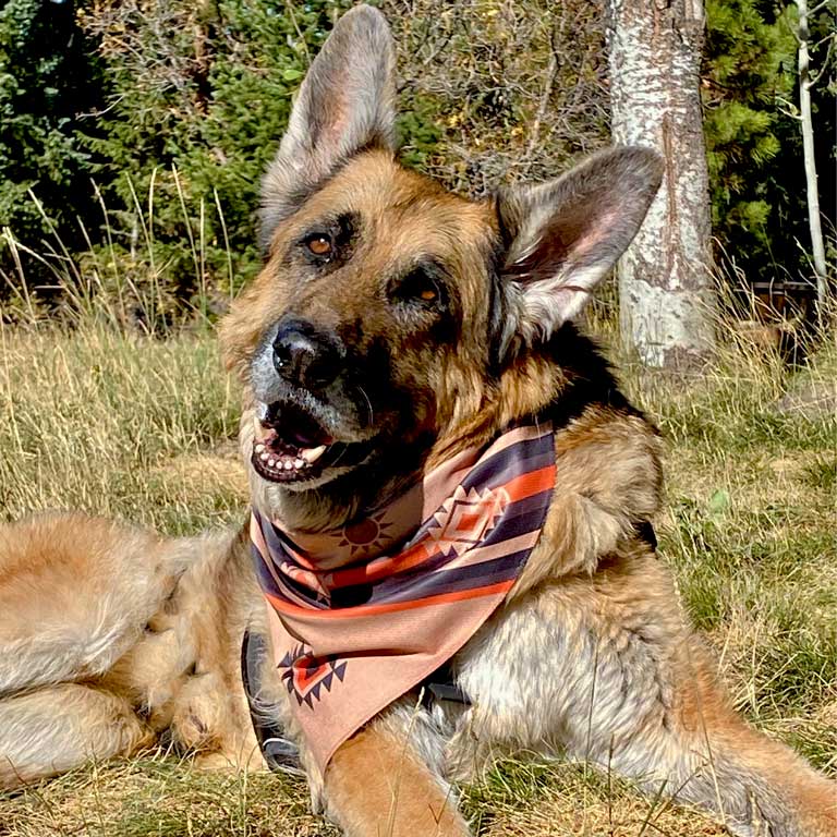 Dog Bandana: Grand Mesa